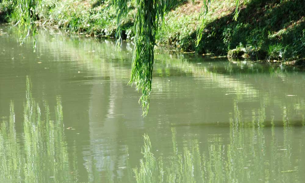 riviera del brenta - delta tour sulla rotta del burchiello